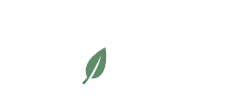 Elegant green leaf logo design symbolizing nature and tranquility, branded with the name 'EDEN'.
