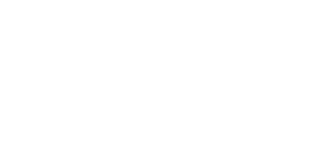Minimalist illustration of three soaring seagulls, conveying a sense of freedom and serenity.